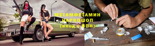 сатива Гусь-Хрустальный