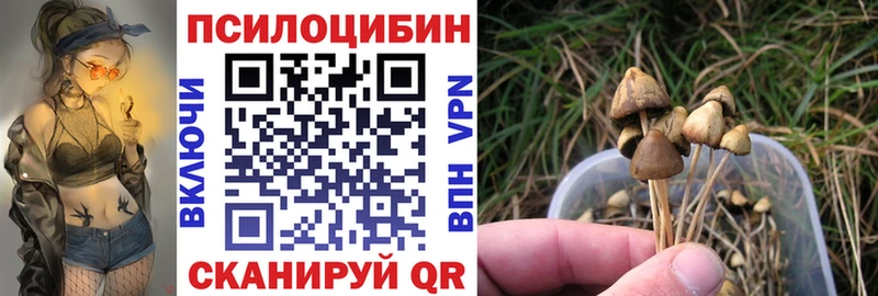 Псилоцибиновые грибы Cubensis  купить наркоту  Комсомольск 